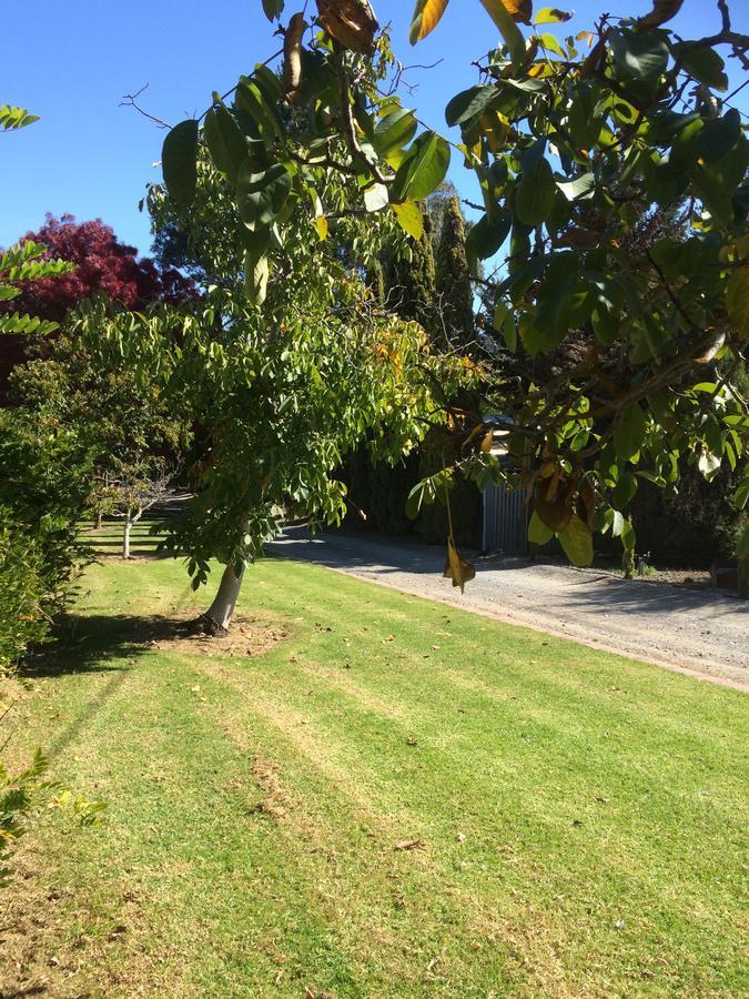Vineyard Cottage Bnb Gumeracha Exterior foto